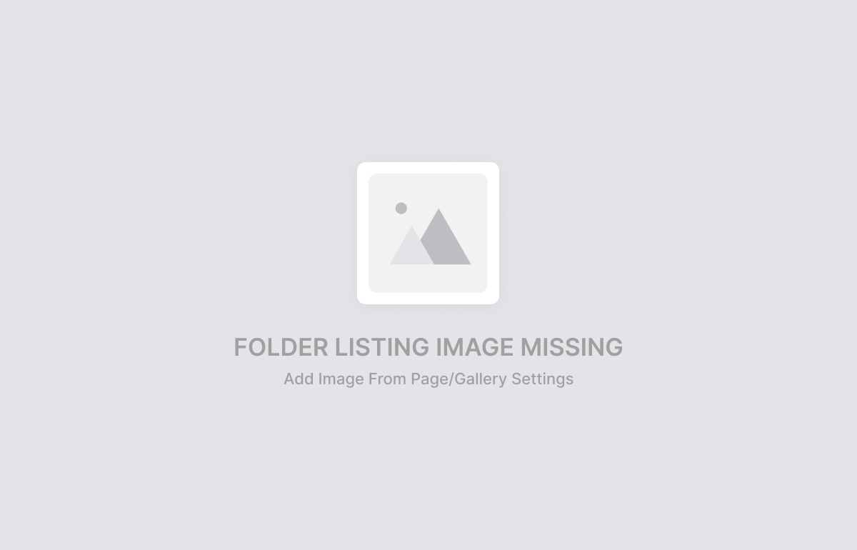 Boschert Family Galleries landing page